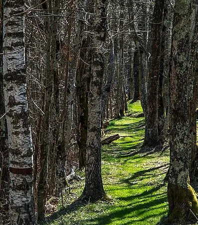 Ostello Landarenca Vandrarhem *