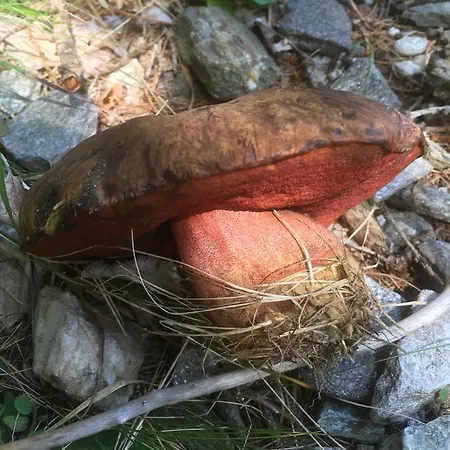 Ostello Landarenca Vandrarhem *