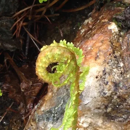 Panzió Ostello Landarenca