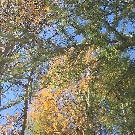 Ostello Landarenca * Landarenca