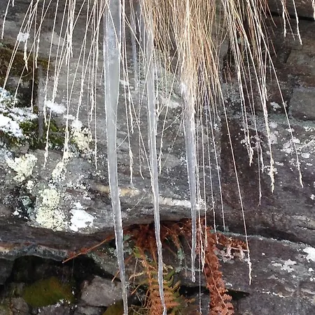 Ostello Landarenca * Landarenca